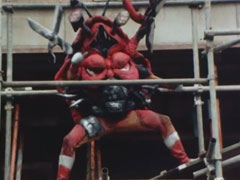 Crab Monger