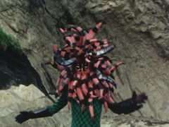 Sea Anemone Monger